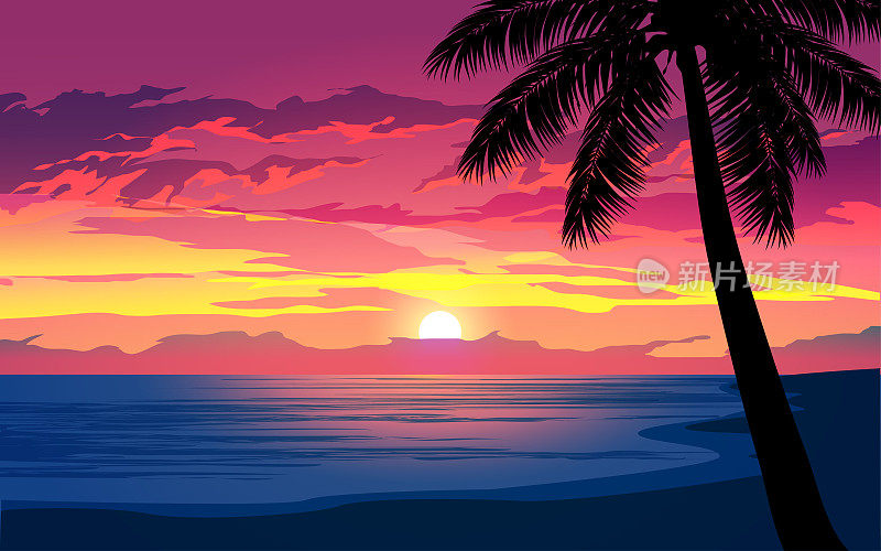 Palm tree at dramatic sunset